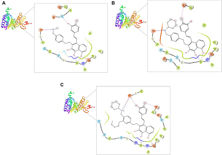 FIGURE 3