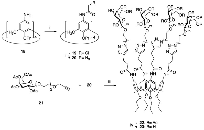 Scheme 4