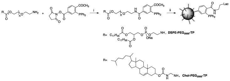 Scheme 10