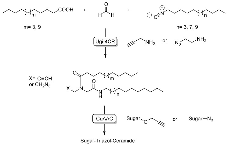 Scheme 2