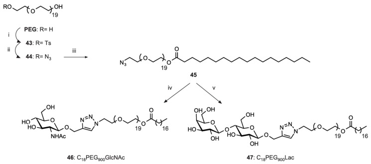 Scheme 8