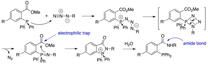 graphic file with name molecules-23-00089-i009.jpg