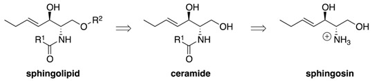 graphic file with name molecules-23-00089-i006.jpg