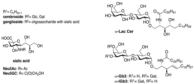 graphic file with name molecules-23-00089-i007.jpg