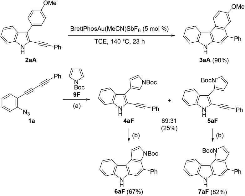 Scheme 5