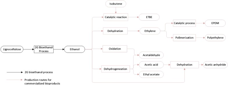 Fig. 3