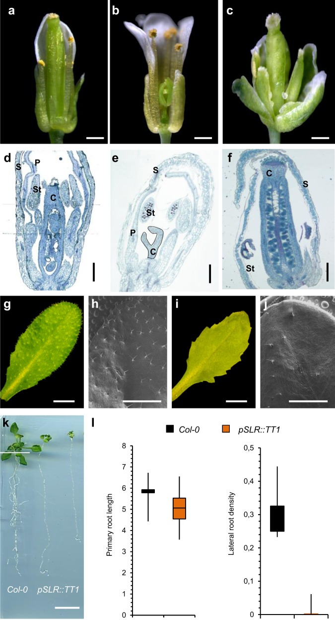 Fig. 5