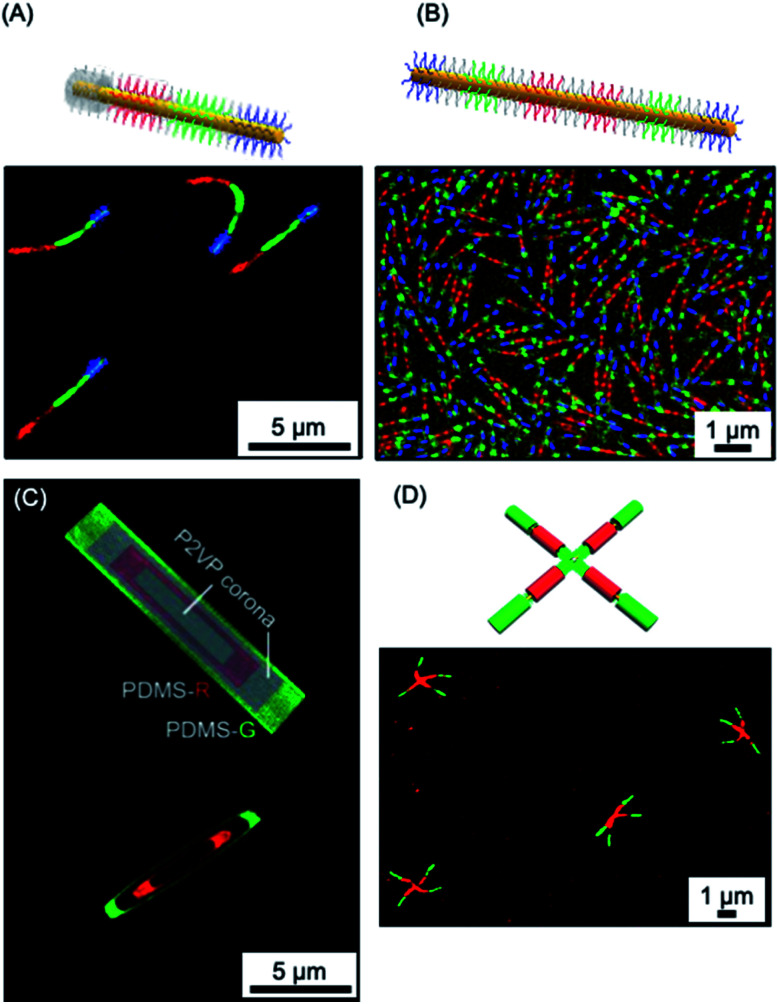 Fig. 10