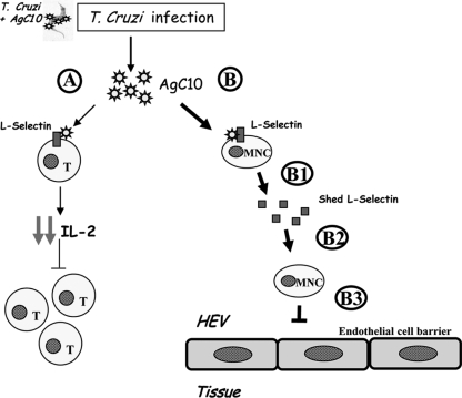 FIG. 6.