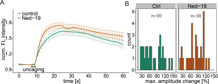 Figure 4—figure supplement 2.