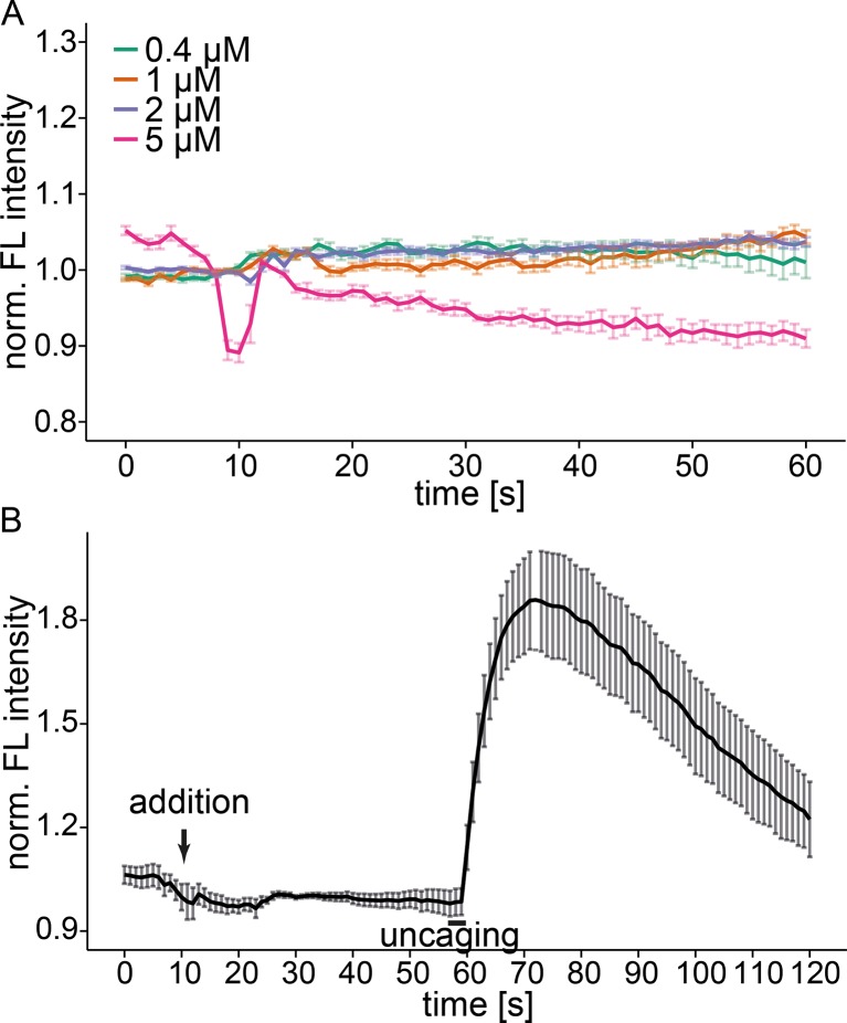 Figure 2—figure supplement 2.