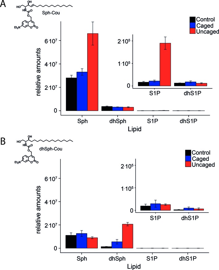 Figure 1—figure supplement 2.