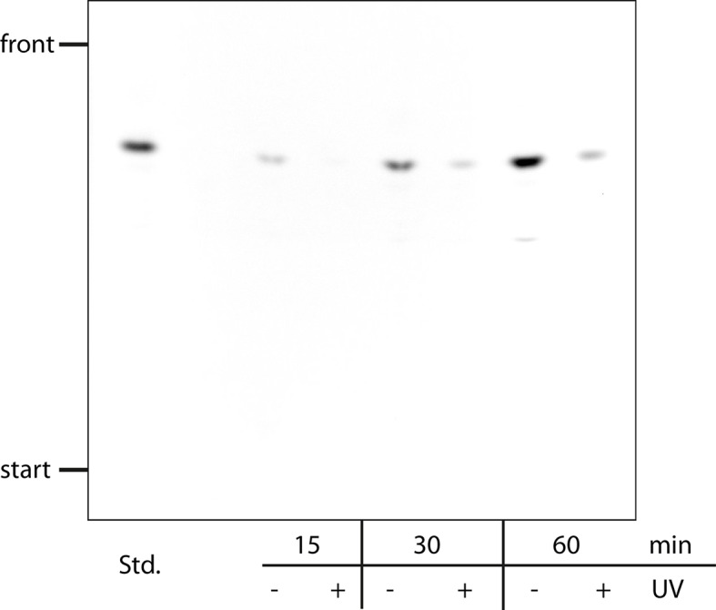 Figure 1—figure supplement 1.