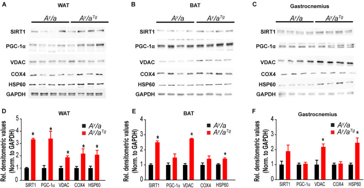 FIGURE 3