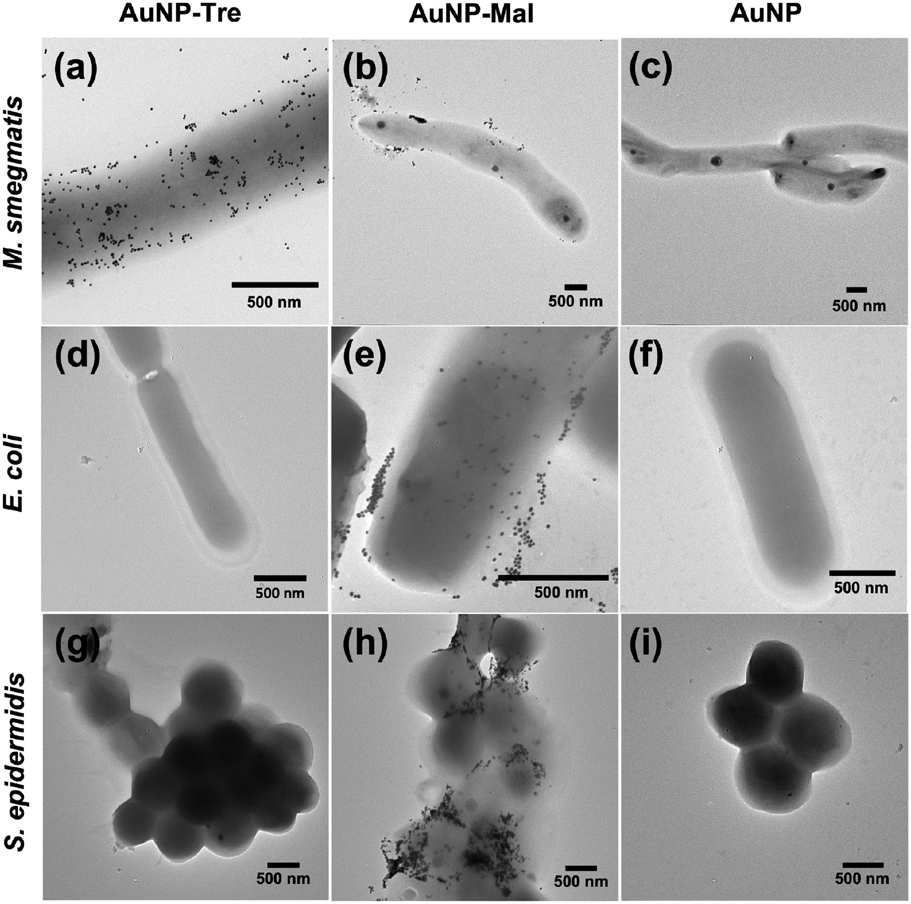 Figure 4.