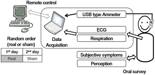 Figure 2 