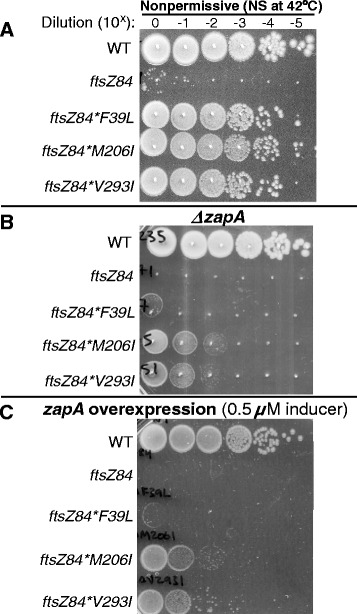 Fig. 6