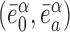Inline graphic