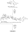 Scheme 4