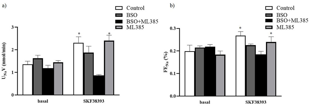 Figure 4: