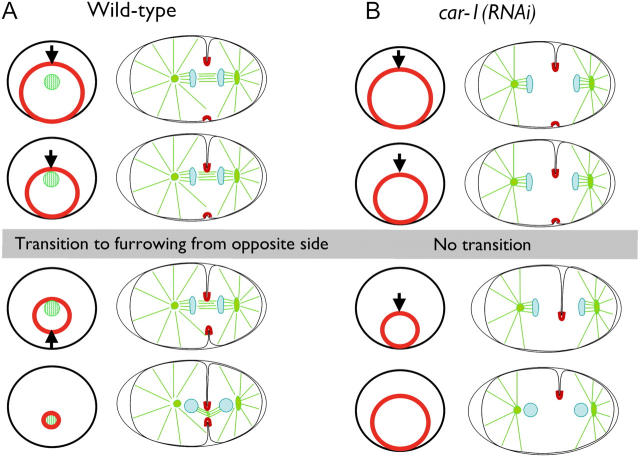 Figure 9.