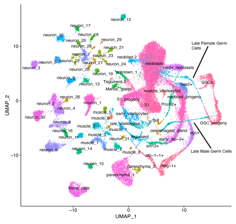 Supplementary figure 1