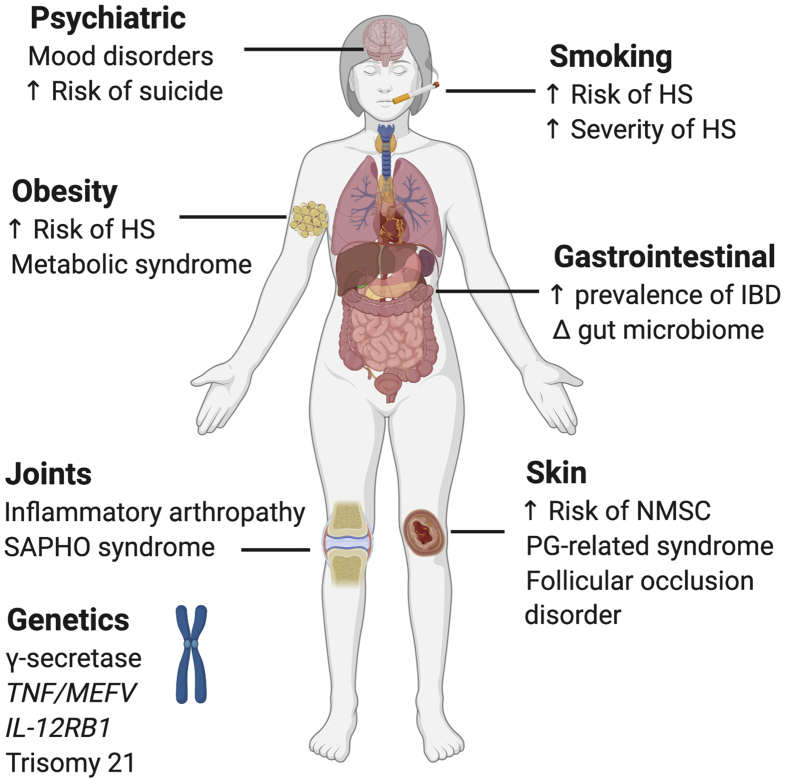 Figure 1