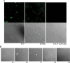 FIG 9