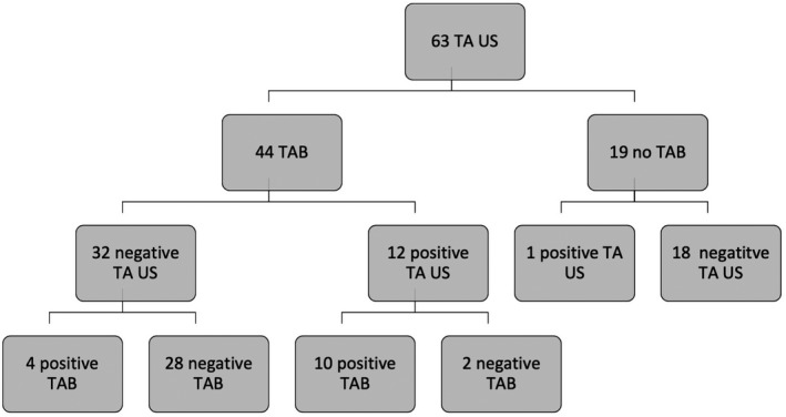 The diagnostic accuracy of temporal artery ultrasound and temporal ...