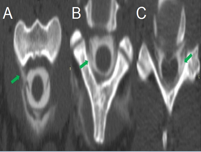 Figure 2.