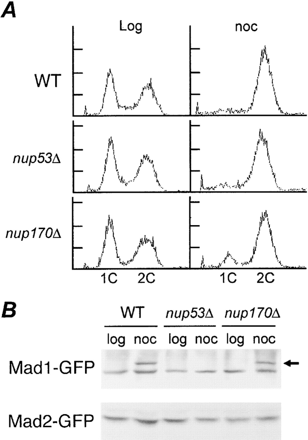 Figure 7.