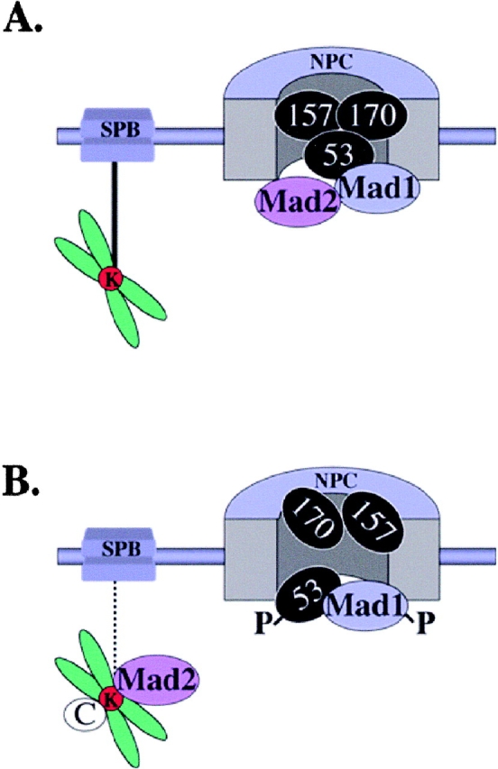 Figure 10.