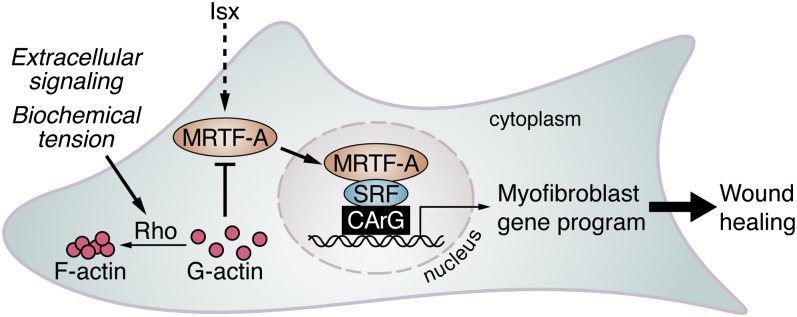 Fig. 7.