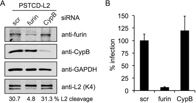 FIG 8