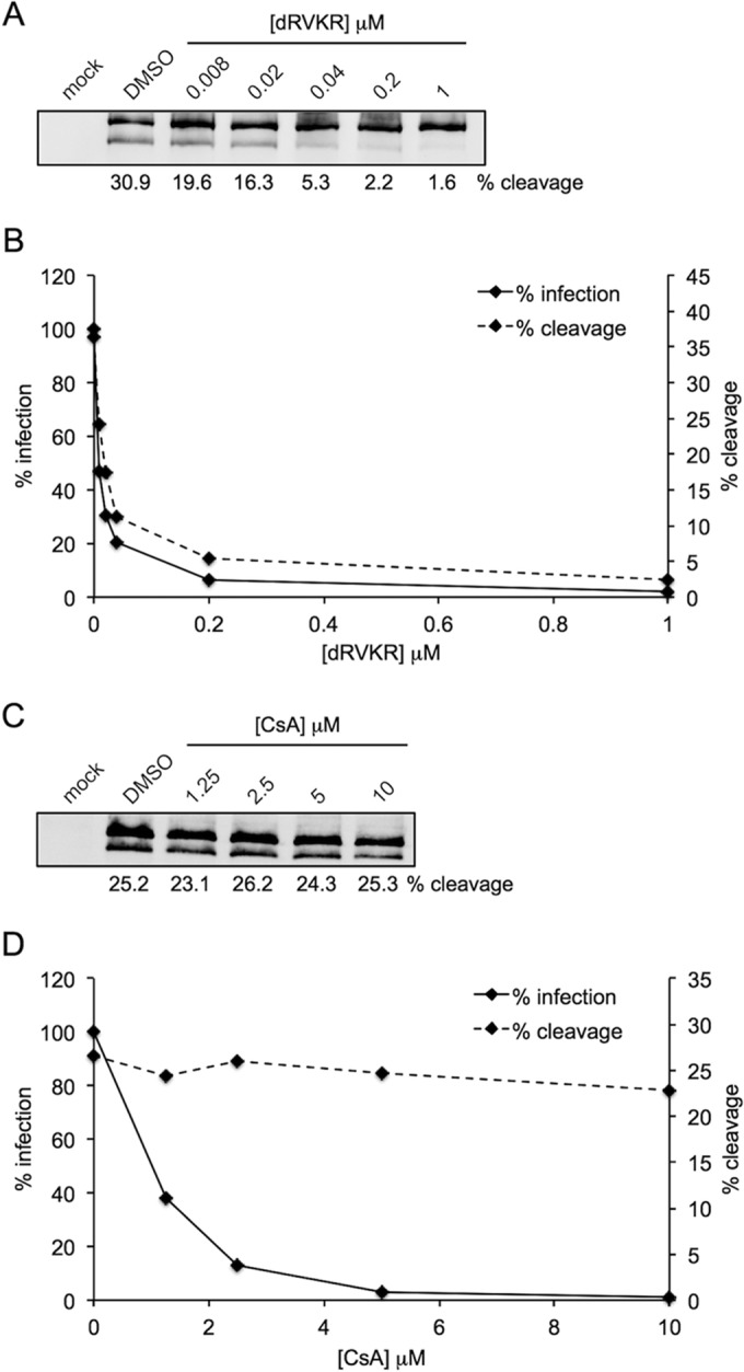 FIG 6