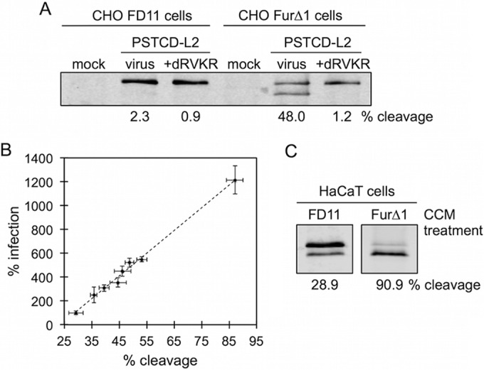 FIG 2