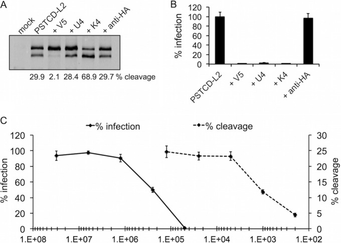 FIG 4