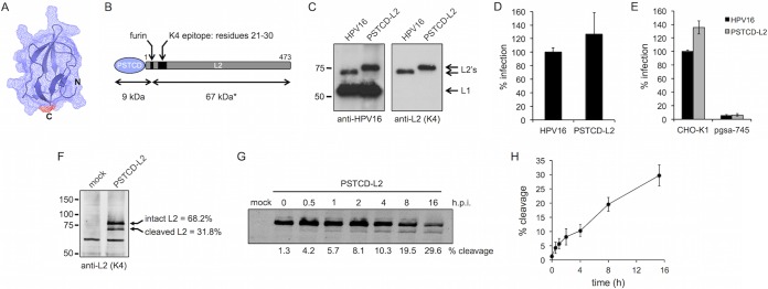 FIG 1