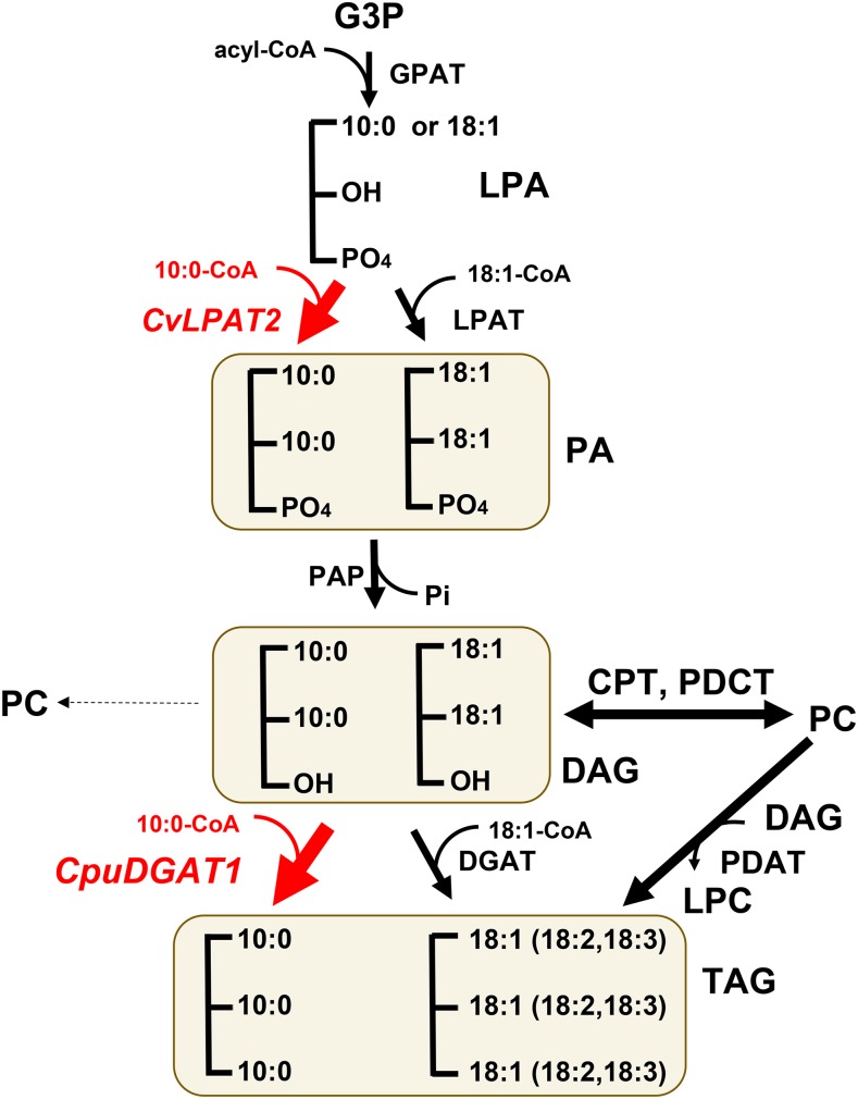 Figure 10.