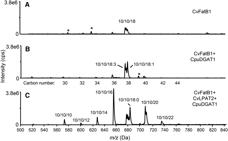 Figure 6.