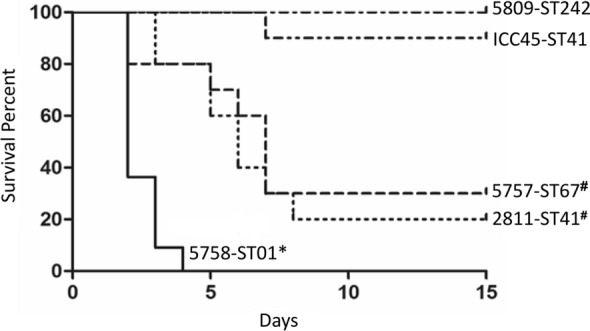 Fig. 3