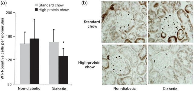 FIGURE 9: