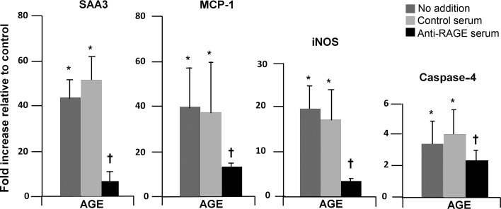 FIGURE 4: