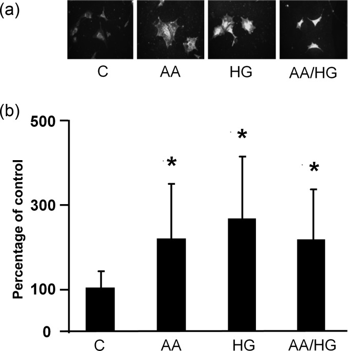 FIGURE 3: