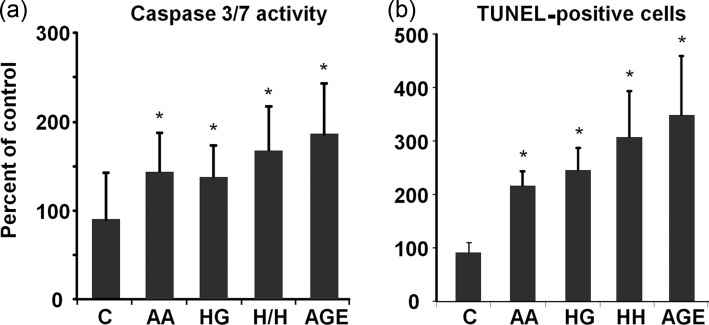 FIGURE 5: