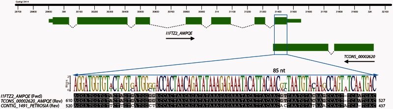 Fig. 6.