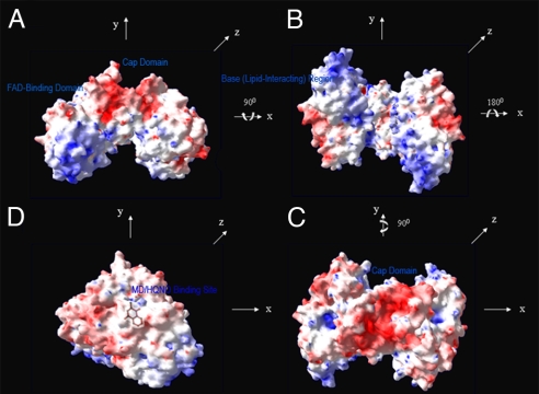 Fig. 3.