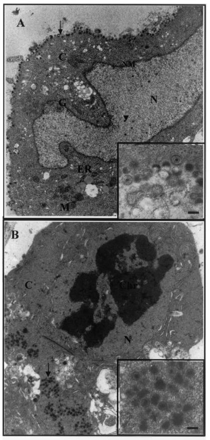 FIG.8.