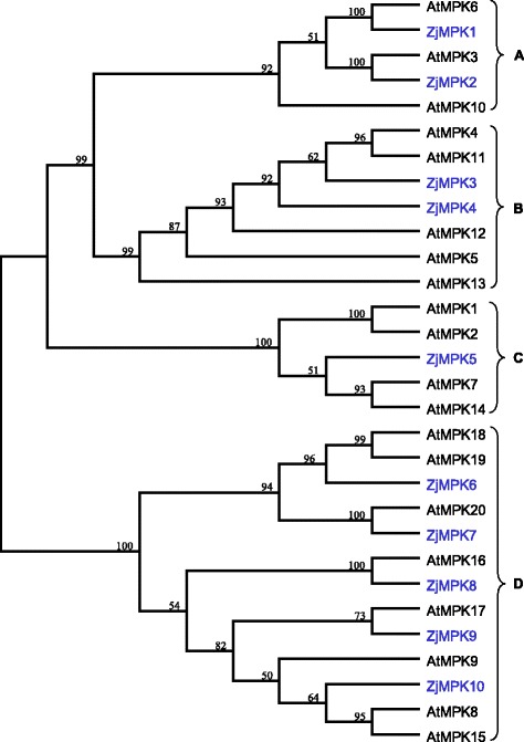 Fig. 5