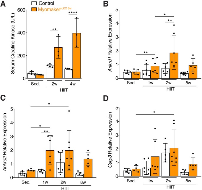 Figure 3—figure supplement 2.